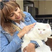 Insegnante multilingue con esperienza 📝. If you need a well-organized and qualified teacher I am here for you